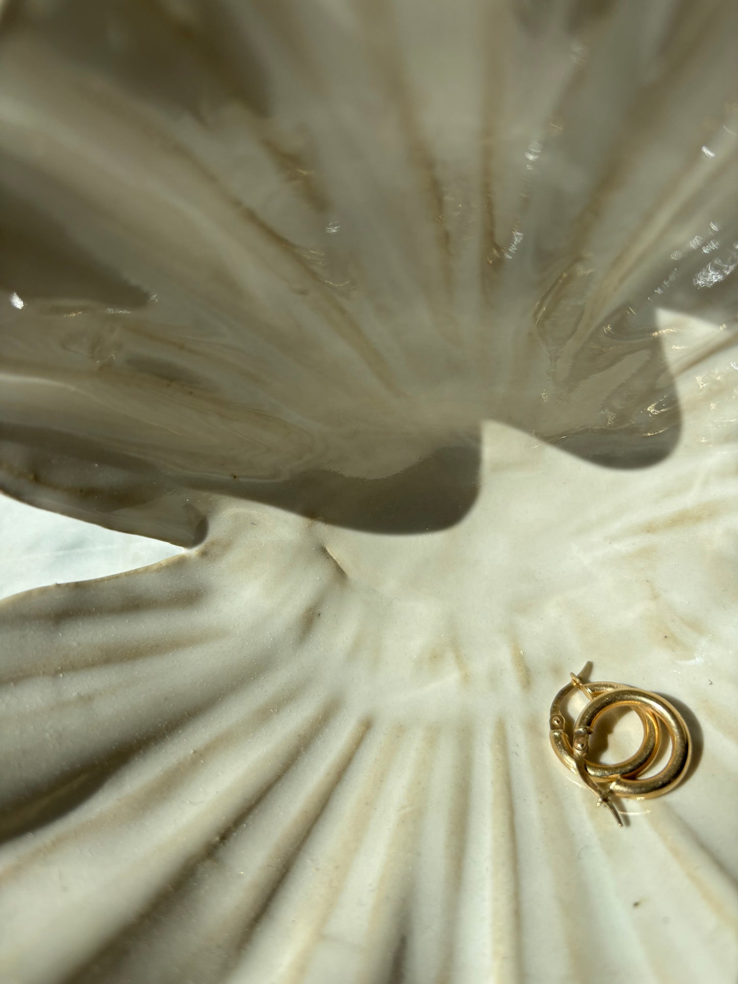 OUTLET Muszla Skarbiec na Biżuterię Pearl White