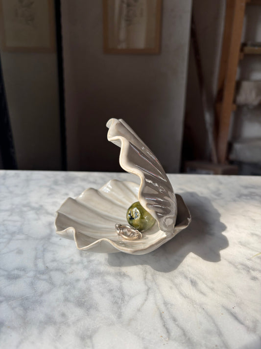 Muszla Skarbiec na Biżuterię Pearl White
