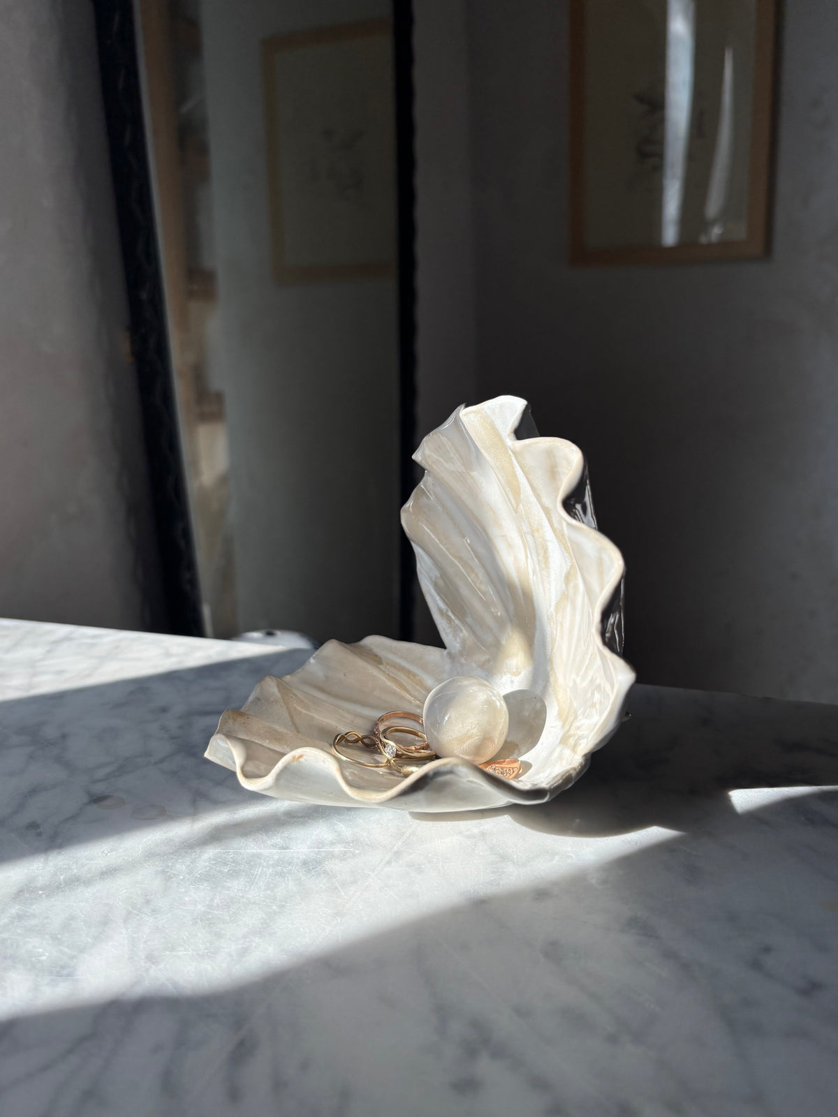 OUTLET Muszla Skarbiec na Biżuterię White Cow