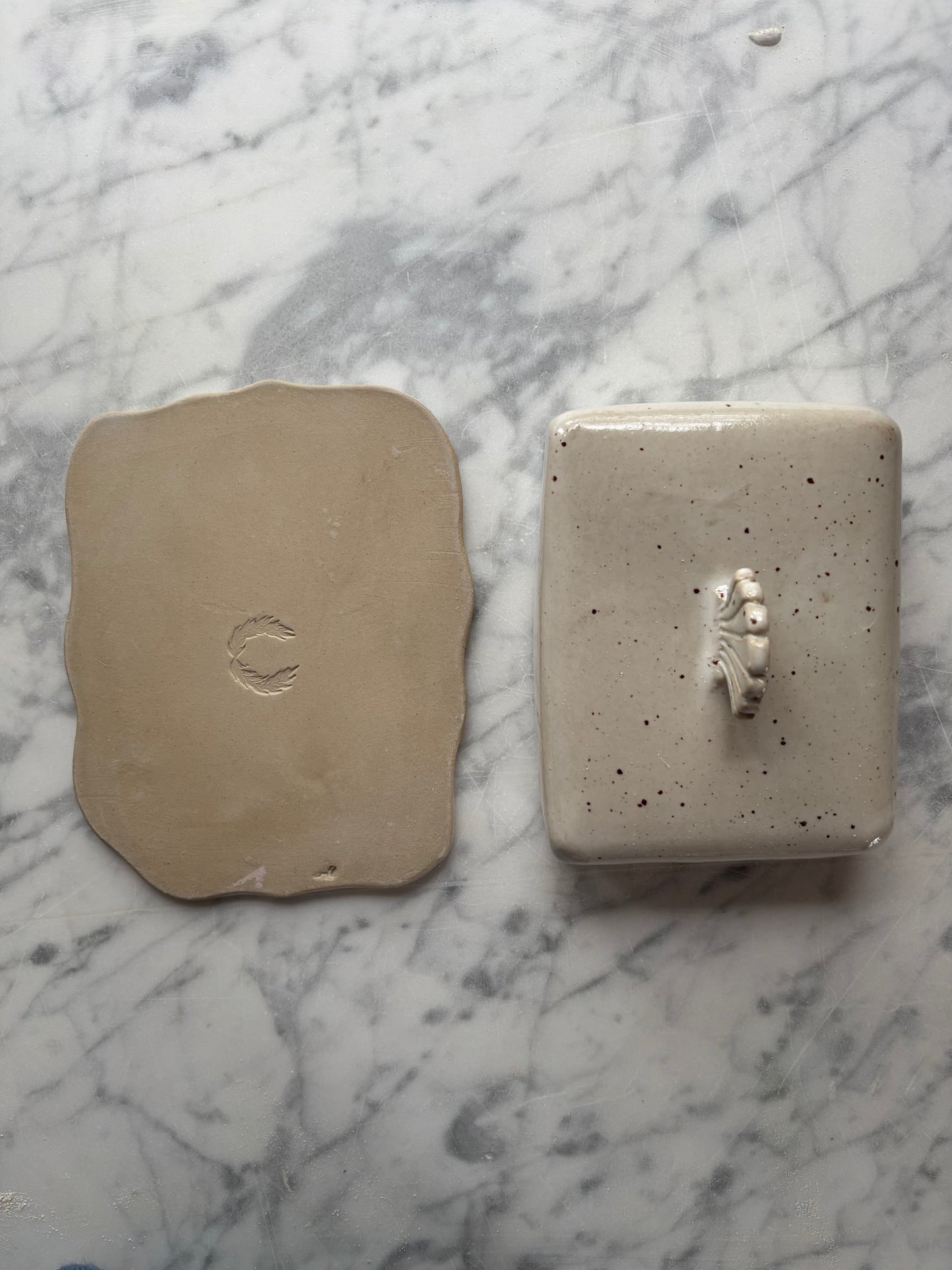 Ceramiczna Maselnica z uchwytem Muszlą Freckled Pearl White