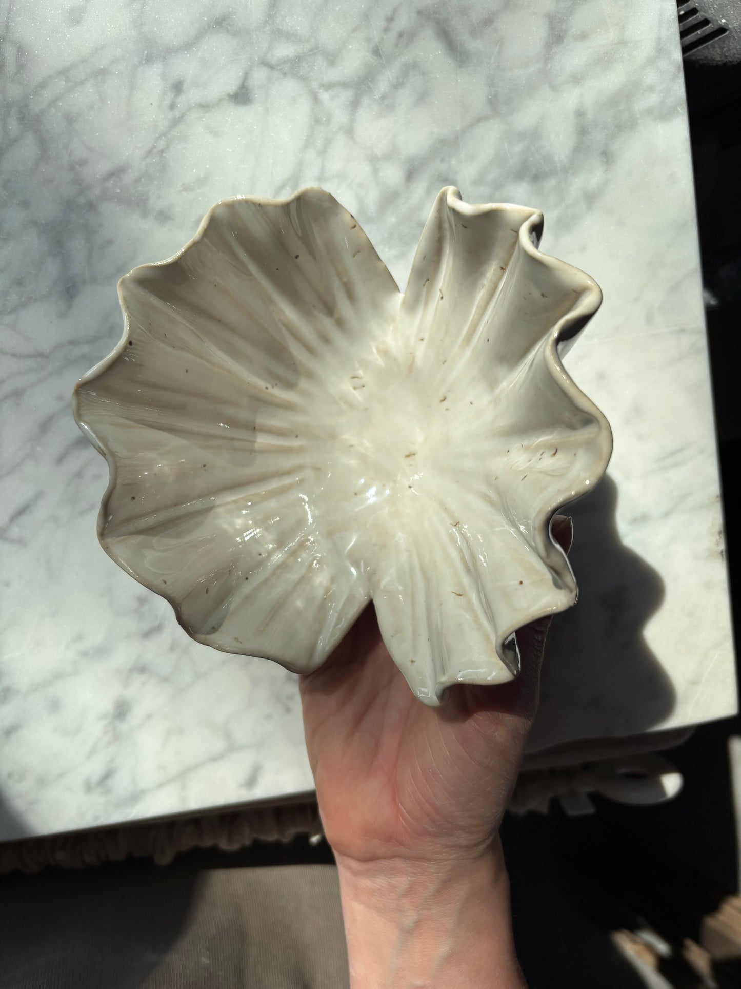 Shell Jewelry Vault Pearl White